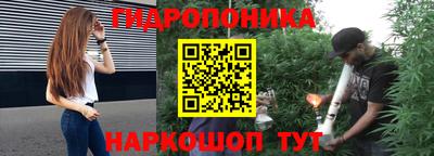 крисы Малоярославец