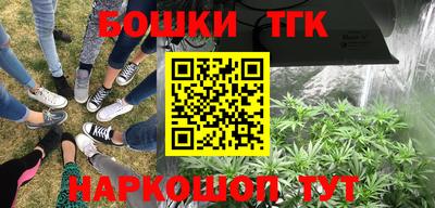 крисы Малоярославец